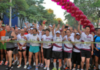 Carrera IPN 11K 2013