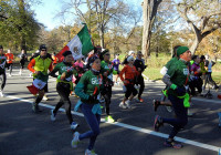maraton de nueva york 2013