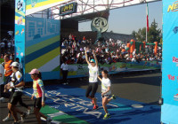 carrera cartoon network 2013