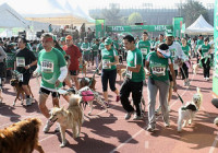 dog chow perroton 2014 inscripciones