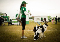 Dog Chow Perrotón 2014