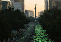 resultados we run mexico 2014 tiempos fotos