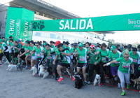 perroton 2014 dog chow resultados