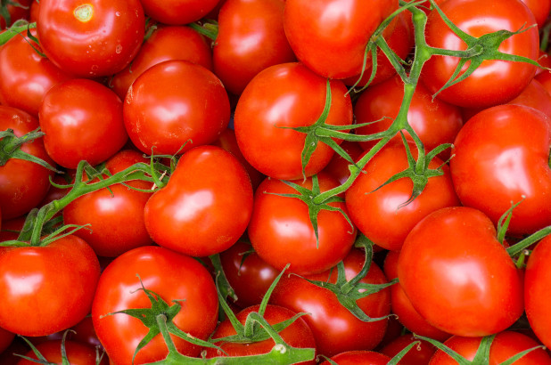 tomates superalimento