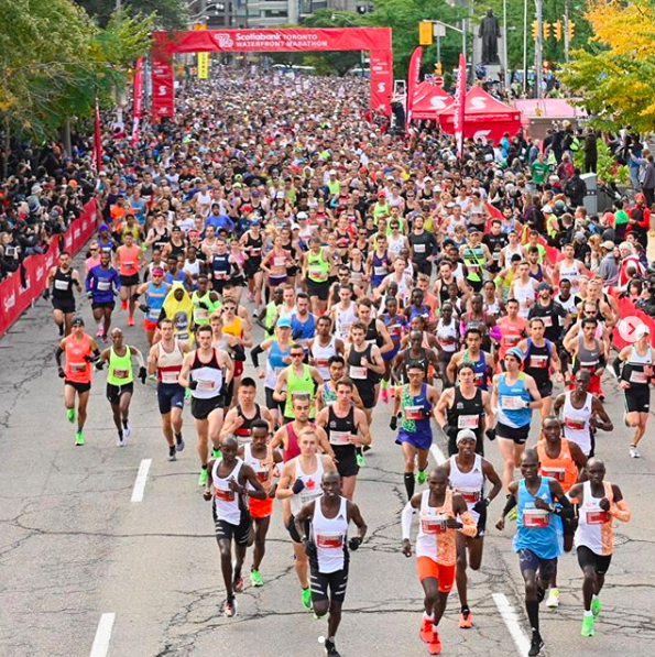 maraton toronto scotiabank 2019